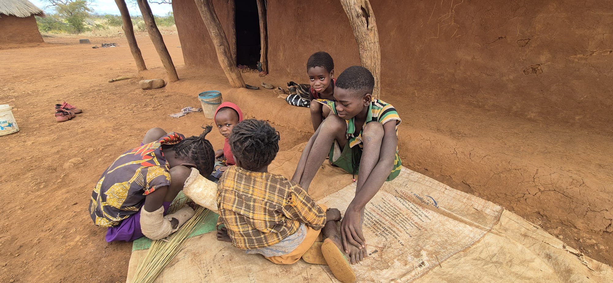 Familie la apus sub un copac african